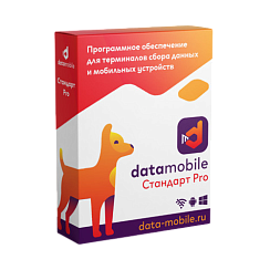 DataMobile, версия Стандарт Pro